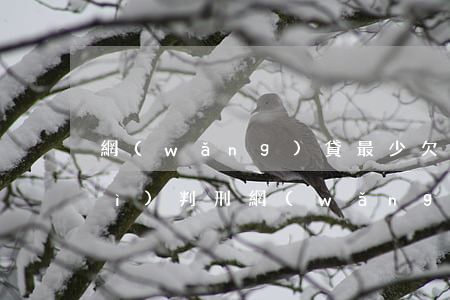 網(wǎng)貸最少欠多少錢才會(huì)判刑(網(wǎng)貸欠多少錢會(huì)被判刑)