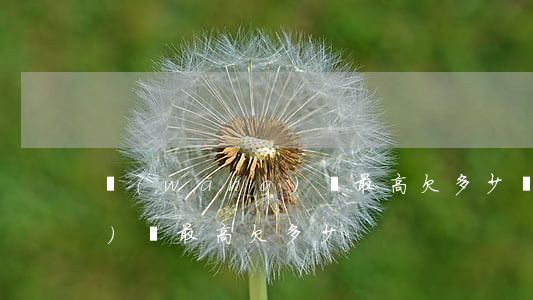 網(wǎng)貸最高欠多少(網(wǎng)貸最高欠多少)
