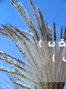 網(wǎng)貸會(huì)起訴我詐騙嗎（網(wǎng)貸真會(huì)起訴嘛）