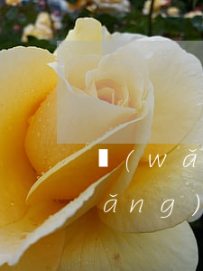 網(wǎng)貸會逾期會被仲裁嗎(網(wǎng)貸逾期被仲裁機構立案了怎么處理)