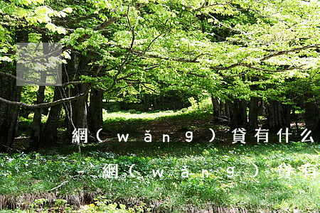 網(wǎng)貸有什么風(fēng)險-網(wǎng)貸有什么風(fēng)險嗎