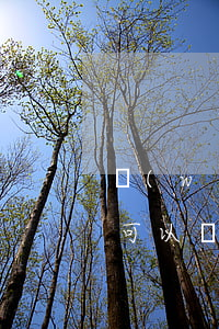 網(wǎng)貸有當(dāng)前逾期可以辦信用卡嗎-網(wǎng)貸有逾期還能辦理信用卡嗎