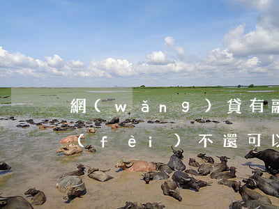 網(wǎng)貸有融資擔(dān)保費(fèi)不還可以嗎-網(wǎng)貸有融資擔(dān)保費(fèi)不還可以嗎怎么辦