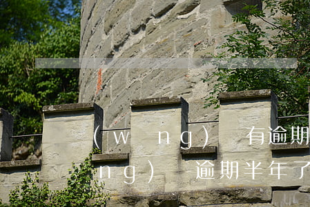 網(wǎng)貸有逾期一年未還款(網(wǎng)貸逾期半年了沒還,以后還要還嗎)