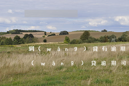 網(wǎng)貸有逾期信用卡可以辦么(網(wǎng)貸逾期可以辦信用卡不)