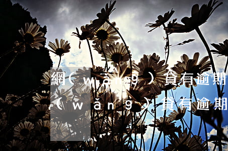 網(wǎng)貸有逾期信用卡沒有逾期(網(wǎng)貸有逾期信用卡沒有逾期可以貸款買車嗎)