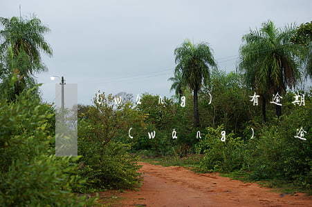 網(wǎng)貸有逾期信用卡能不能辦下來(網(wǎng)貸逾期還能辦下來信用卡嗎)
