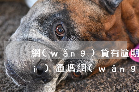網(wǎng)貸有逾期借唄可以開(kāi)通嗎(網(wǎng)貸有逾期借唄會(huì)開(kāi)通嗎)