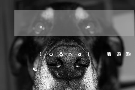 網(wǎng)貸有逾期借唄還可以借出來么-