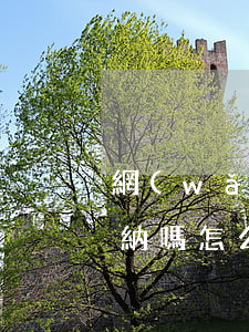 網(wǎng)貸有逾期公積金可以正常繳納嗎怎么辦（網(wǎng)貸有逾期公積金可以正常繳納嗎）