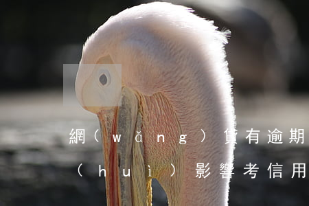 網(wǎng)貸有逾期會(huì)不會(huì)影響考信用社的工作（網(wǎng)貸有逾期會(huì)不會(huì)影響考信用社）