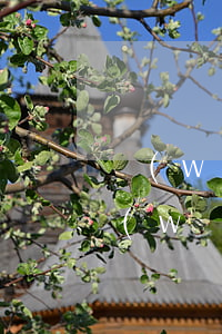 網(wǎng)貸有逾期會影響老婆申請網(wǎng)貸嗎-網(wǎng)貸有逾期會影響老婆申請網(wǎng)貸嗎知乎