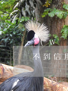 網(wǎng)貸有逾期申請(qǐng)不到信用卡