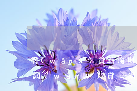網(wǎng)貸有逾期的可以申請哪家的網(wǎng)貸-網(wǎng)貸有逾期的可以申請哪家的網(wǎng)貸呢
