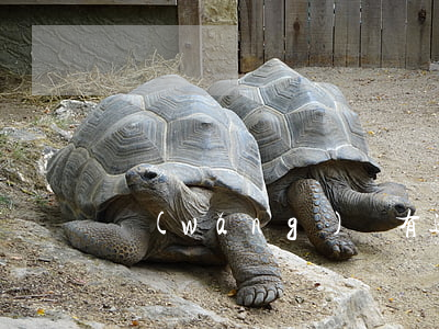 網(wǎng)貸有逾期能不能辦信用卡