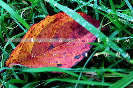 網(wǎng)貸有逾期能辦信用卡不(網(wǎng)貸有逾期能辦信用卡不)