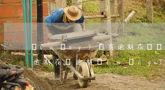 網(wǎng)貸有逾期花唄還能用(信用卡逾期花唄逾期網(wǎng)貸逾期還可以借錢嗎)