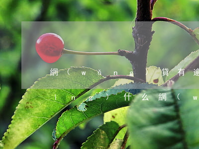 網(wǎng)貸有逾期記錄還能申請(qǐng)什么網(wǎng)貸-網(wǎng)貸有逾期記錄還能申請(qǐng)什么網(wǎng)貸呢