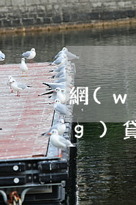 網(wǎng)貸有逾期過還能網(wǎng)貸嗎(逾期嚴(yán)重還能借的網(wǎng)貸)