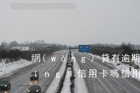 網(wǎng)貸有逾期還完了能申請(qǐng)信用卡嗎（信用卡逾期沒還還可以再借網(wǎng)貸嗎）