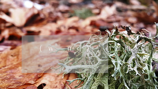 網(wǎng)貸有逾期還能貸款嗎