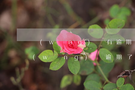網(wǎng)貸有逾期還能辦信用卡么(網(wǎng)貸逾期了能辦信用卡嗎)