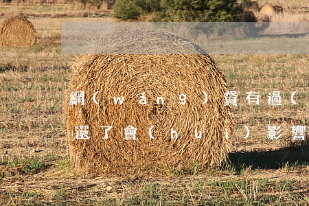 網(wǎng)貸有過(guò)逾期但是還了會(huì)影響支付寶借唄嗎-網(wǎng)貸有過(guò)逾期但是還了會(huì)影響支付寶借唄嗎