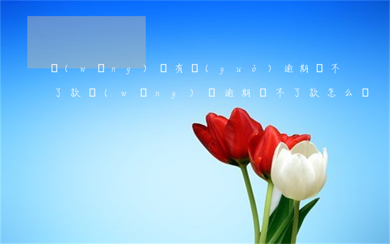 網(wǎng)貸有過(guò)逾期貸不了款(網(wǎng)貸逾期還不了款怎么辦)
