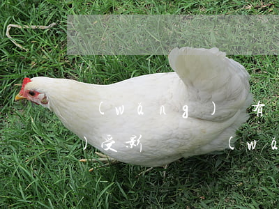網(wǎng)貸有過逾期征信會(huì)受影響嗎（網(wǎng)貸逾期起訴會(huì)影響征信嗎）