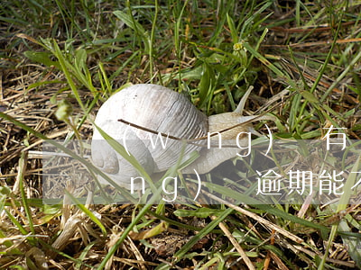 網(wǎng)貸有過逾期貸款買車(網(wǎng)貸逾期能不能貸款買車)