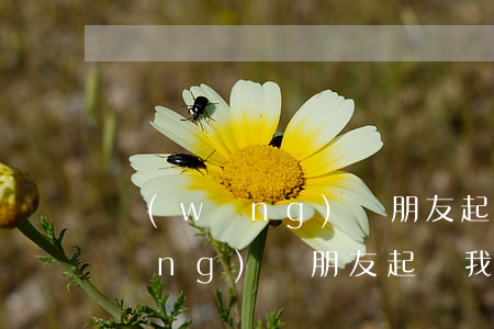 網(wǎng)貸朋友起訴我怎么辦（網(wǎng)貸朋友起訴我）