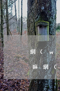 網(wǎng)貸未逾期可以申請延期還款嘛 網(wǎng)貸未逾期可以申請延期還款嘛怎么辦