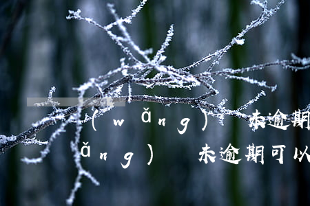 網(wǎng)貸未逾期可以貸款嗎(網(wǎng)貸未逾期可以貸款嗎)