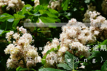 網(wǎng)貸未逾期已還清會不會影響征信-網(wǎng)貸未逾期已還清會不會影響征信記錄