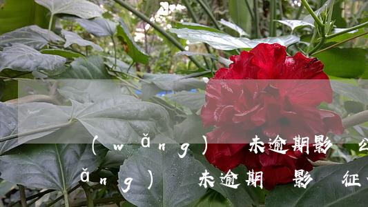 網(wǎng)貸未逾期影響公積金(網(wǎng)貸未逾期會影響征信么)