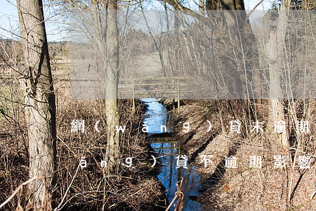 網(wǎng)貸未逾期影響征信嗎(網(wǎng)貸不逾期影響征信嗎)