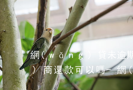 網(wǎng)貸未逾期想申請協(xié)商還款可以嗎-網(wǎng)貸未逾期想申請協(xié)商還款可以嗎怎么辦