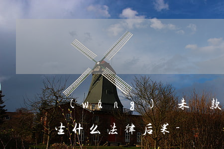 網(wǎng)貸未還款會產(chǎn)生什么法律后果-