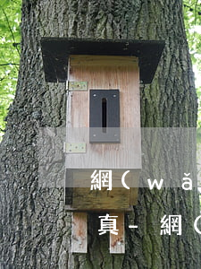 網(wǎng)貸未還款短信收到開庭信息真-網(wǎng)貸未還款短信收到開庭信息真假怎么辦