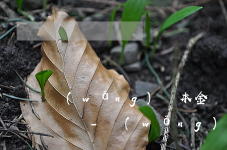 網(wǎng)貸本金給了逾期利息可以不給嗎-網(wǎng)貸本金給了逾期利息可以不給嗎怎么辦