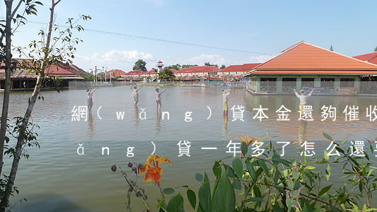 網(wǎng)貸本金還夠催收多久(網(wǎng)貸一年多了怎么還要催收)
