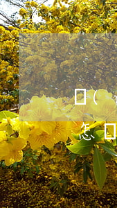 網(wǎng)貸查詢自己是否被法院起訴（怎樣查被網(wǎng)貸公司起訴）