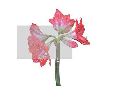 網(wǎng)貸核銷會被起訴嗎-網(wǎng)貸核銷會被起訴嗎