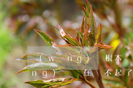 網(wǎng)貸根本還不起錢了(網(wǎng)貸實在還不起了)