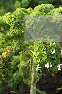 網(wǎng)貸機(jī)構(gòu)去哪里起訴-網(wǎng)貸機(jī)構(gòu)去哪里起訴