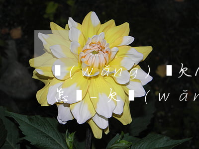 網(wǎng)貸欠1000000不還會怎樣-欠網(wǎng)貸100萬無力償還怎么辦