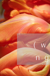 網(wǎng)貸欠10000不還(網(wǎng)貸欠款幾千元不還怎么辦)