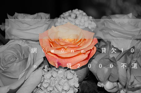 網(wǎng)貸欠1000不還(網(wǎng)貸2000不還)