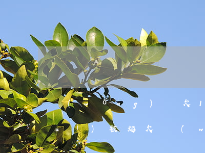 網(wǎng)貸欠1000元不還會(huì)被起(欠網(wǎng)貸1000塊錢會(huì)被起訴嗎)