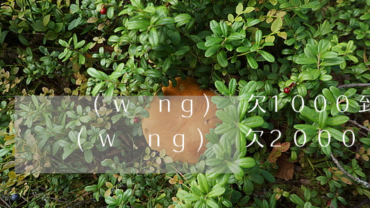 網(wǎng)貸欠1000到手600(網(wǎng)貸欠2000)